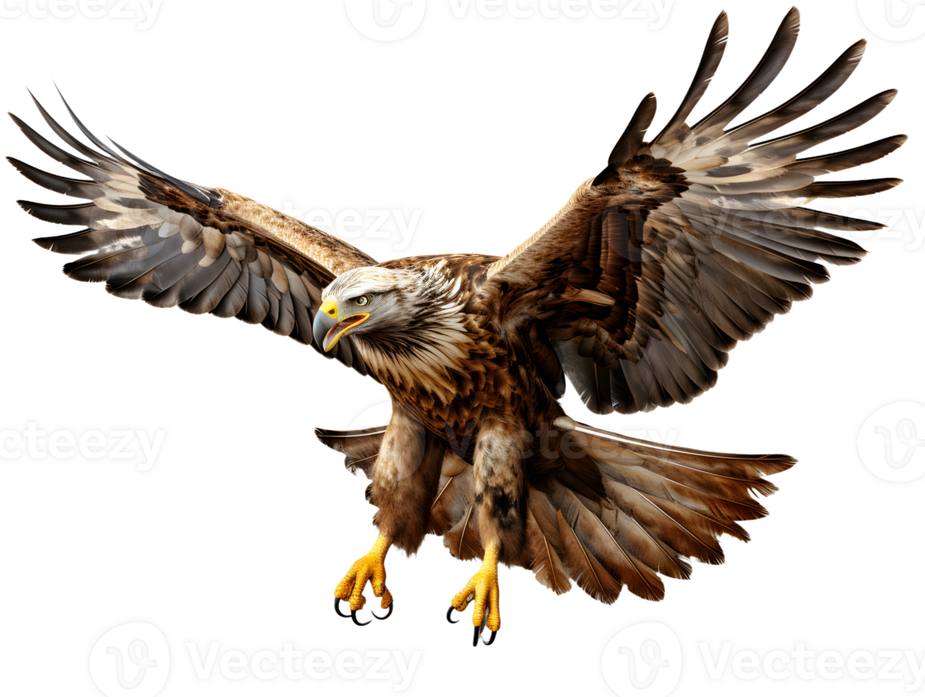 AI generated Eagle Flying with Spread Wings Isolated on Transparent Background. Close Up of a Hawk. Generative Ai png