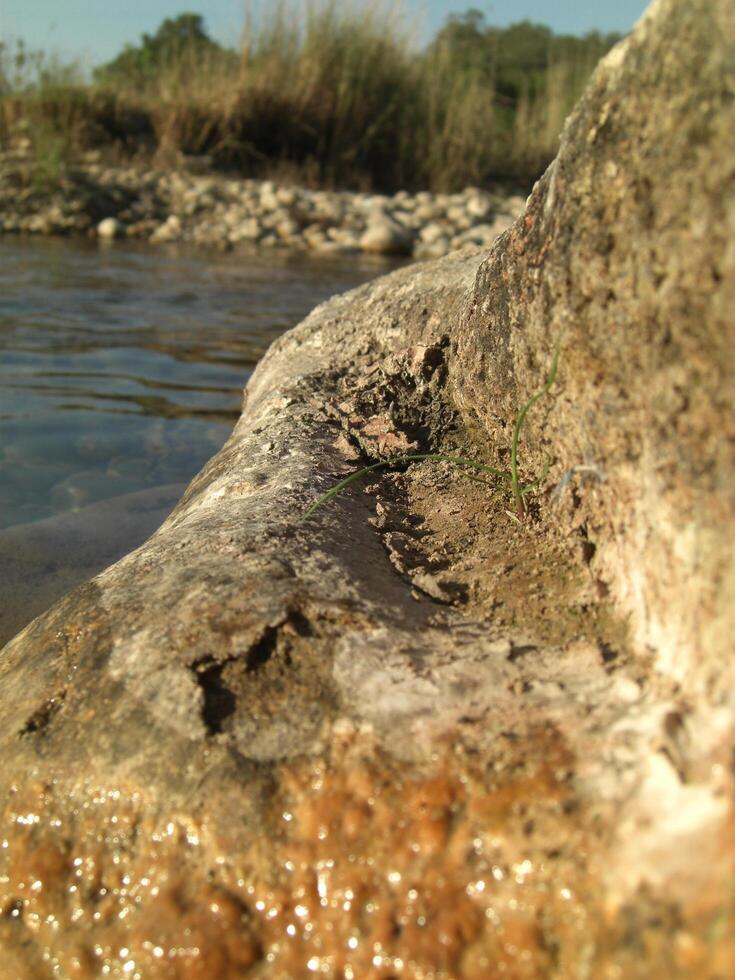 grande seco difícil rock en lago - naturaleza ver - naturaleza antecedentes foto