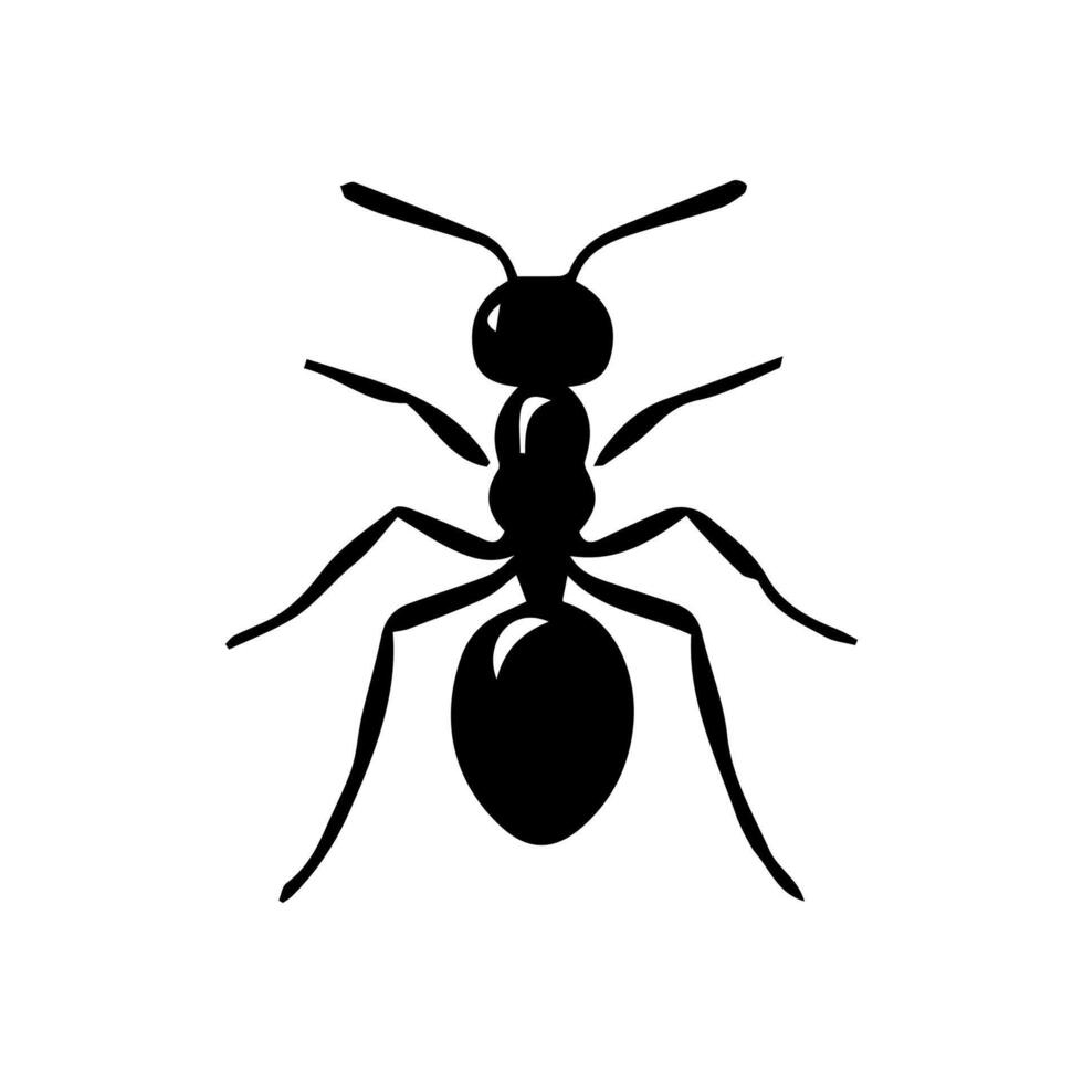 illustration with ant silhouettes isolated on white background vector