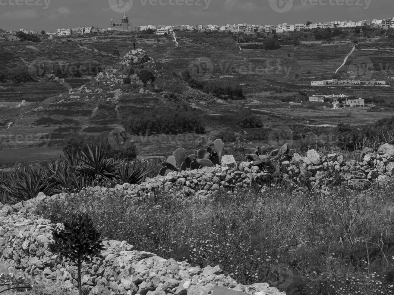 the island gozo photo