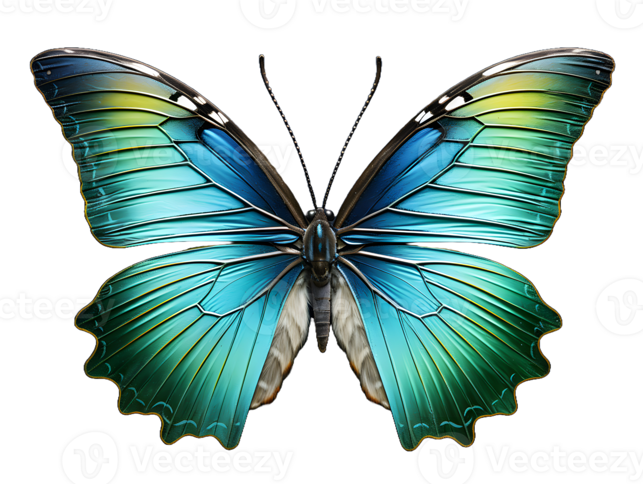 AI generated Close Up of a Beautiful and Multicolored Butterfly with Spread Wings Isolated on Transparent Background. Generative Ai png