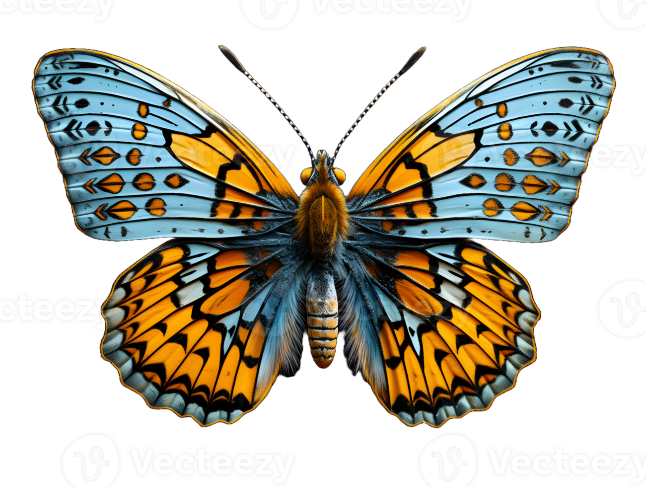 AI generated Close Up of a Beautiful and Multicolored Butterfly with Spread Wings Isolated on Transparent Background. Generative Ai png