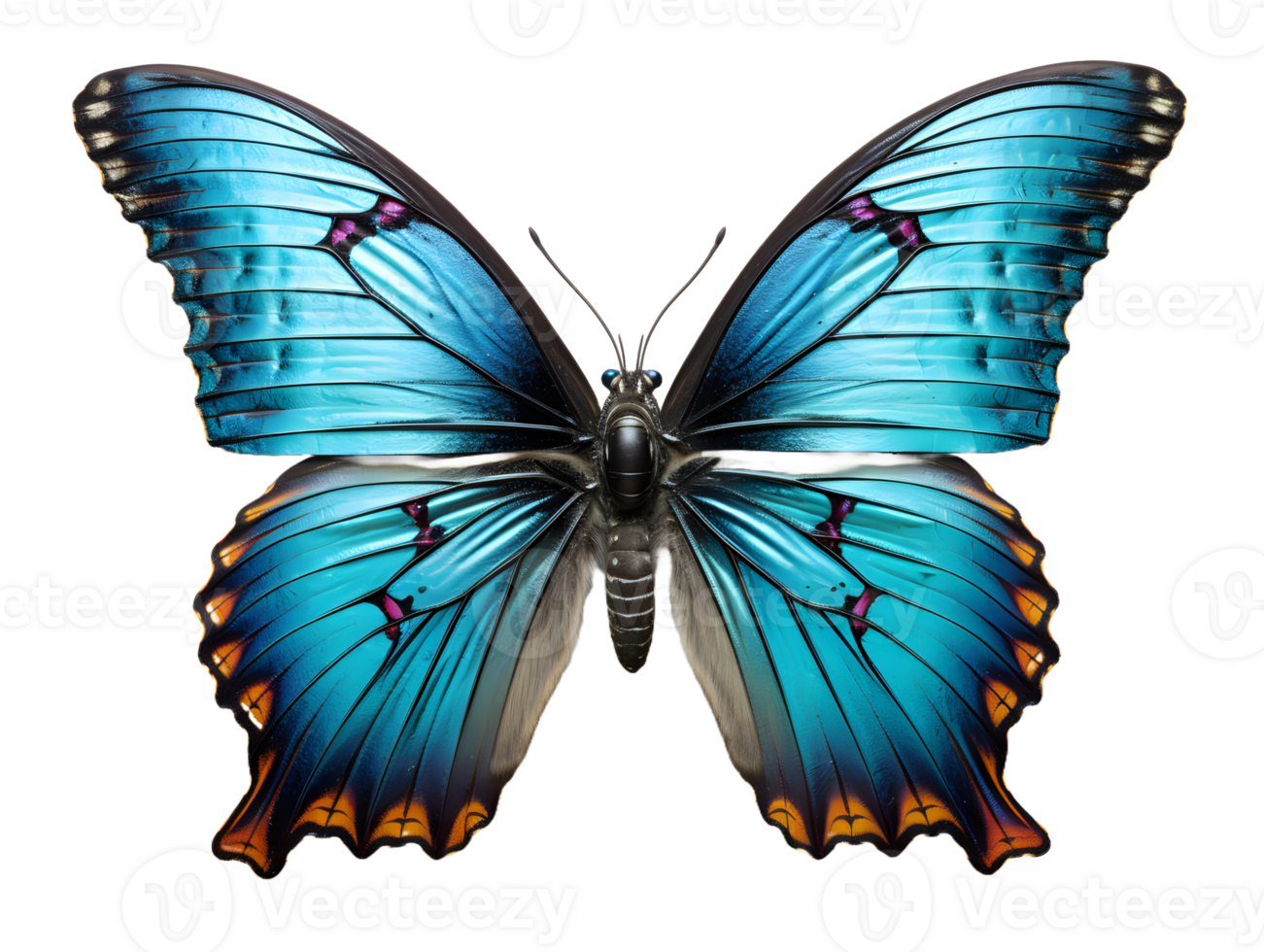 AI generated Close Up of a Beautiful and Multicolored Butterfly with Spread Wings Isolated on Transparent Background. Generative Ai png