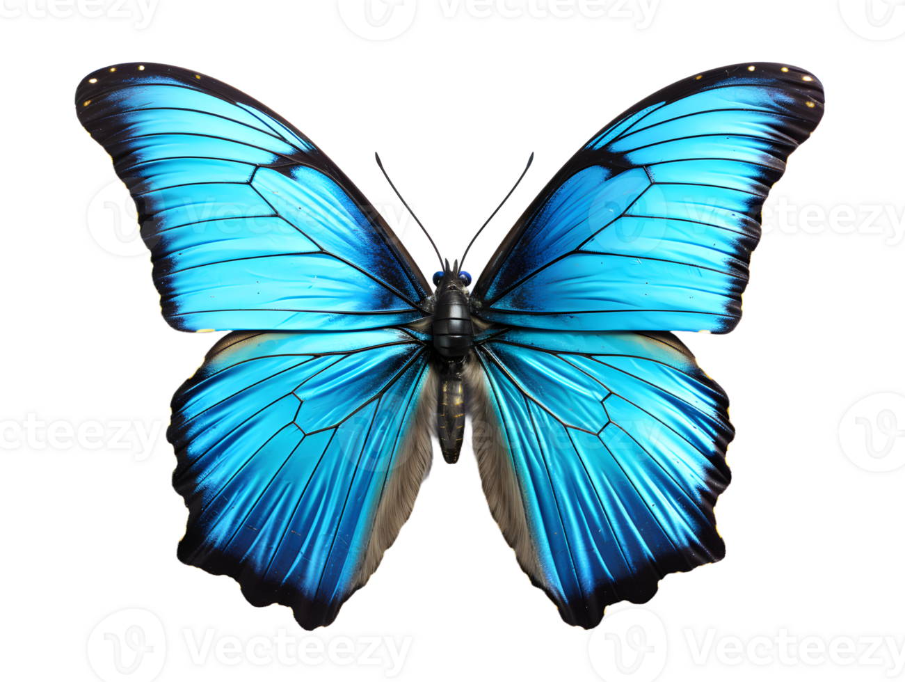 AI generated Close Up of a Beautiful and Multicolored Butterfly with Spread Wings Isolated on Transparent Background. Generative Ai png