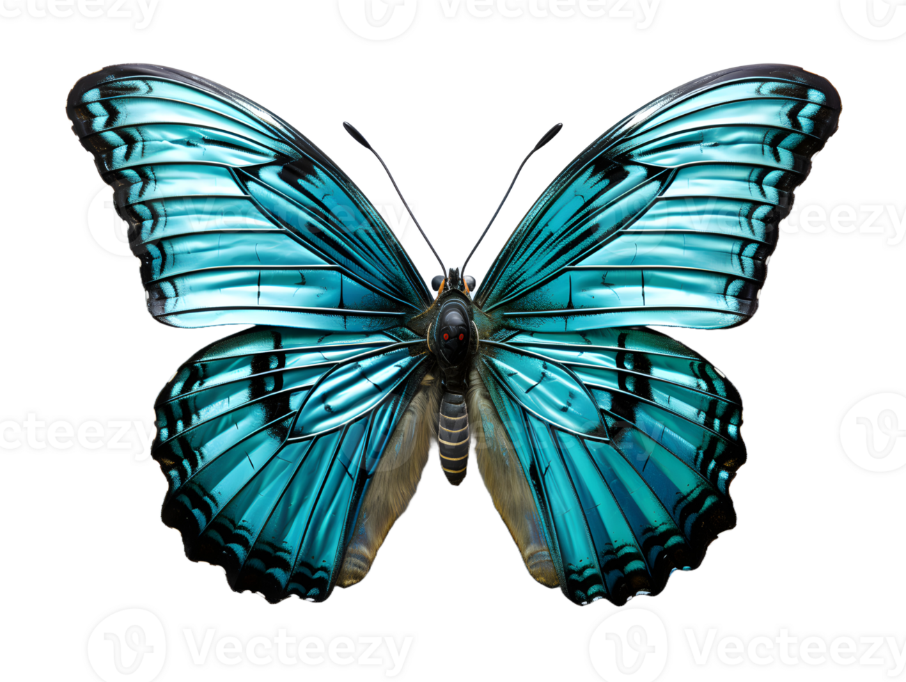 AI generated Close Up of a Beautiful and Multicolored Butterfly with Spread Wings Isolated on Transparent Background. Generative Ai png