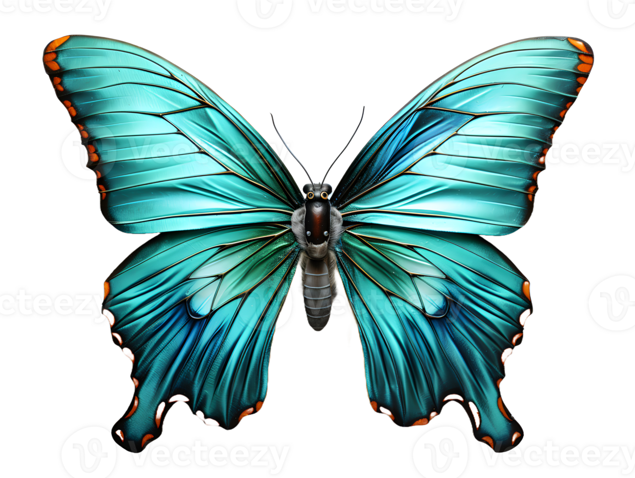 AI generated Close Up of a Beautiful and Multicolored Butterfly with Spread Wings Isolated on Transparent Background. Generative Ai png