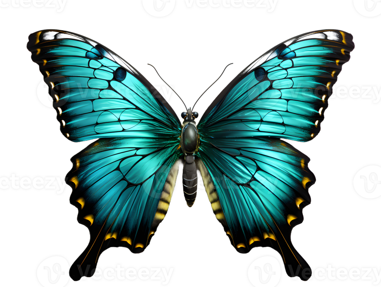 AI generated Close Up of a Beautiful and Multicolored Butterfly with Spread Wings Isolated on Transparent Background. Generative Ai png