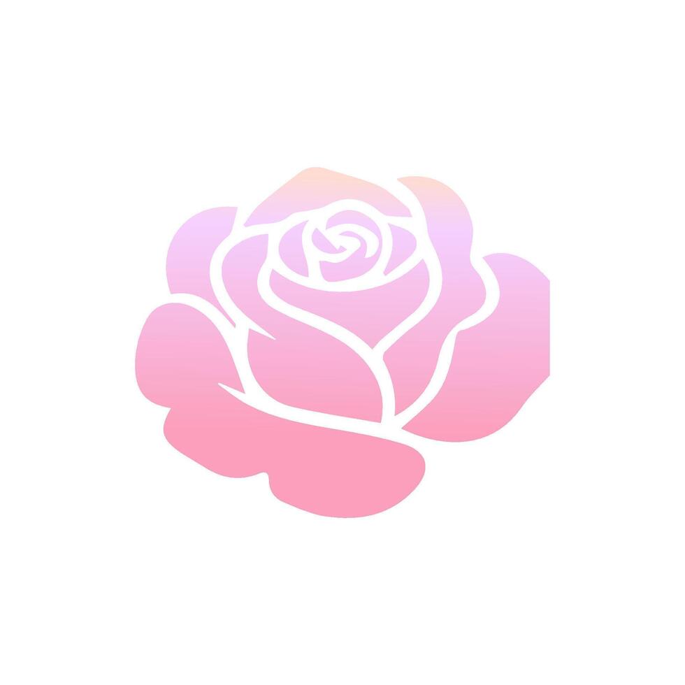 Rose flower of blooming plant. Garden rose isolated icon of pink blossom, petal and bud with green stem and leaf for romantic floral decoration, wedding bouquet and valentine greeting card vector