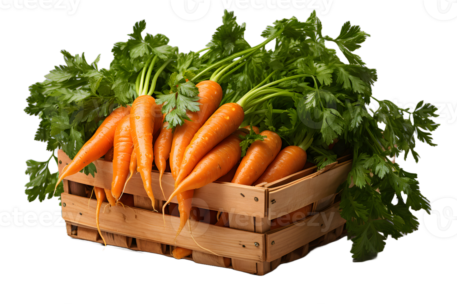 AI generated Pile of Fresh Carrots in a Basket Isolated on Transparent Background. Generative Ai png