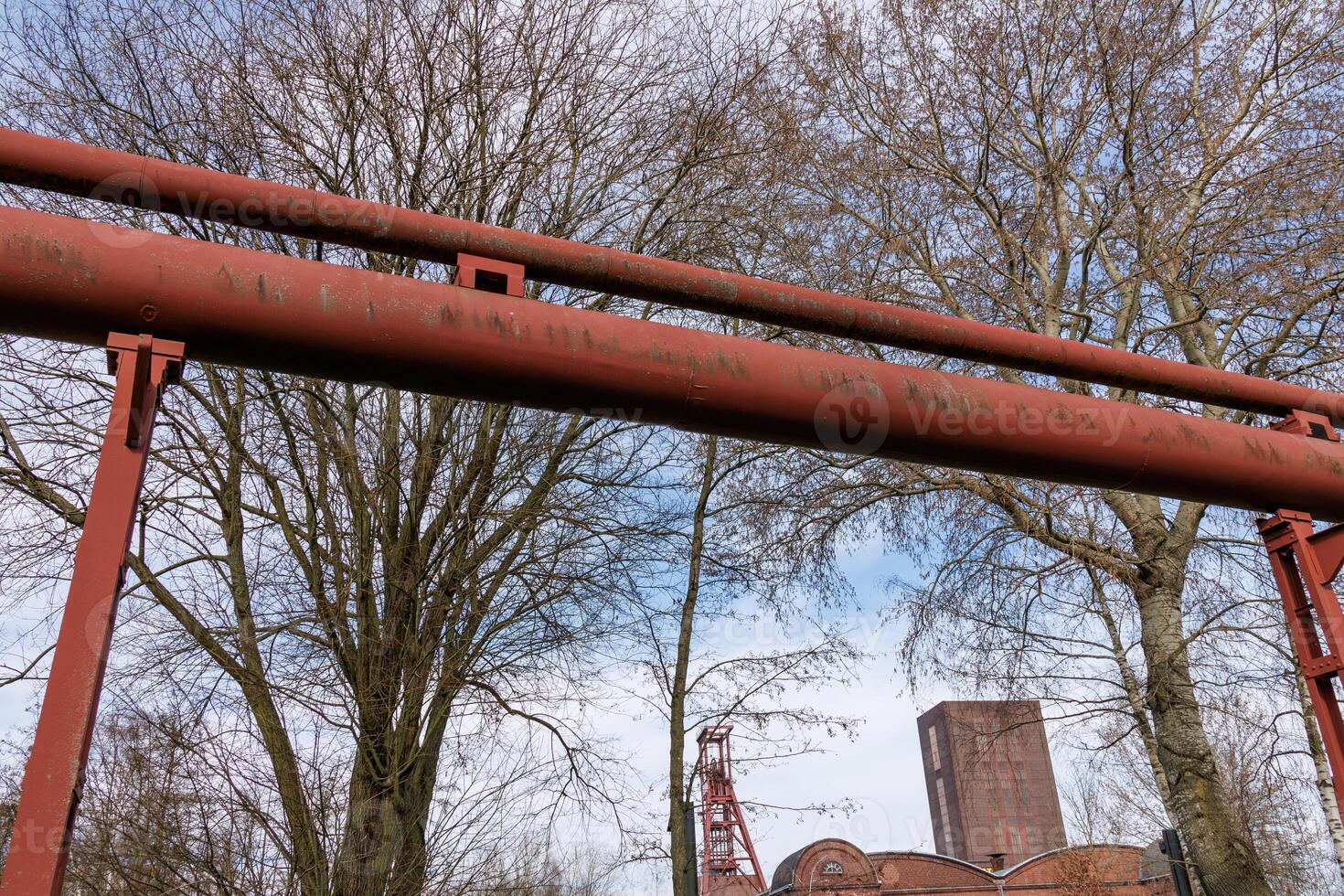 spring time in the german ruhr aerea photo