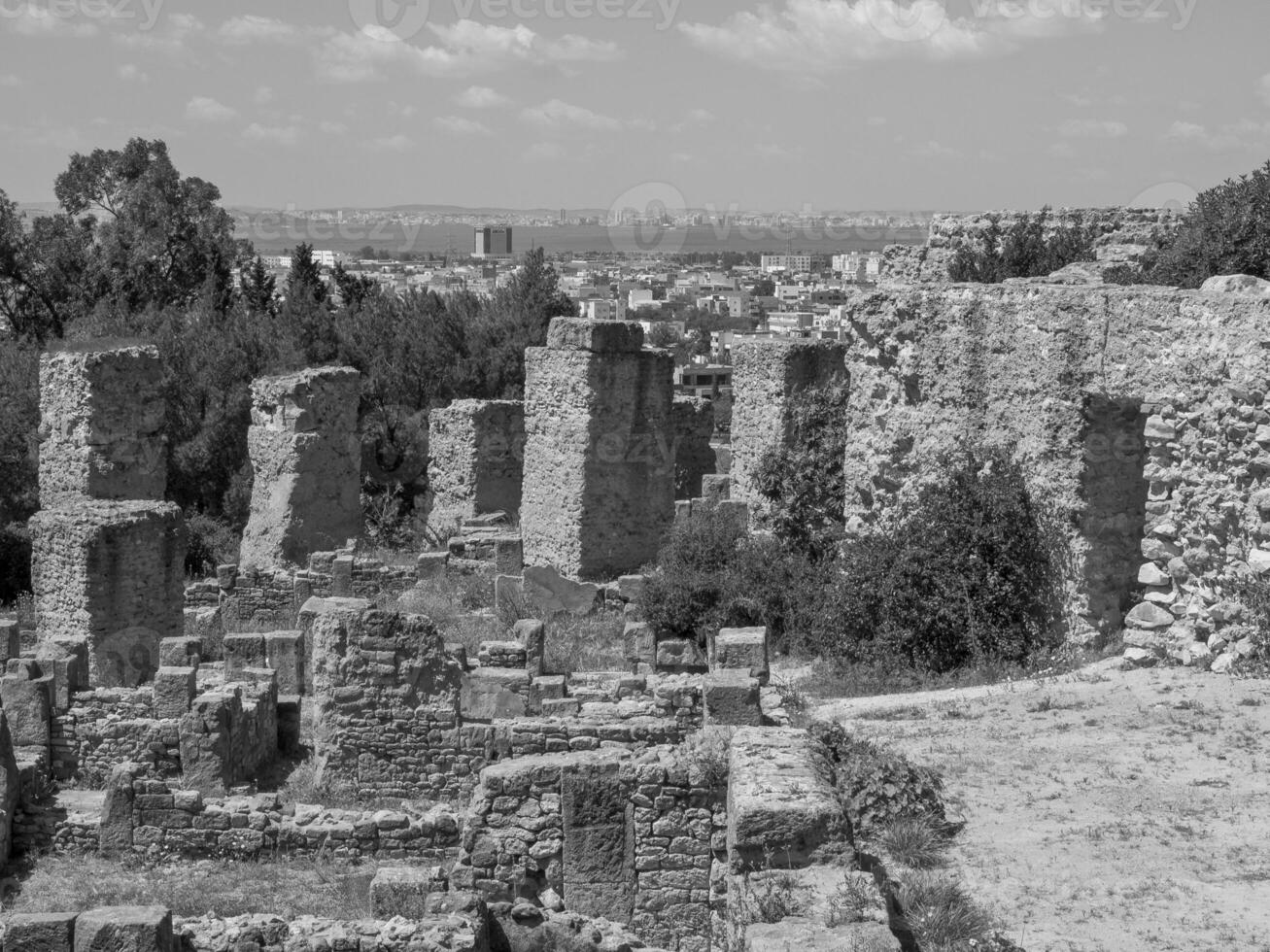 tunis in tunisia photo