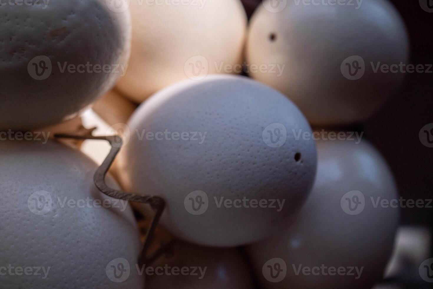 A lot of ostrich eggs lie in a pile photo