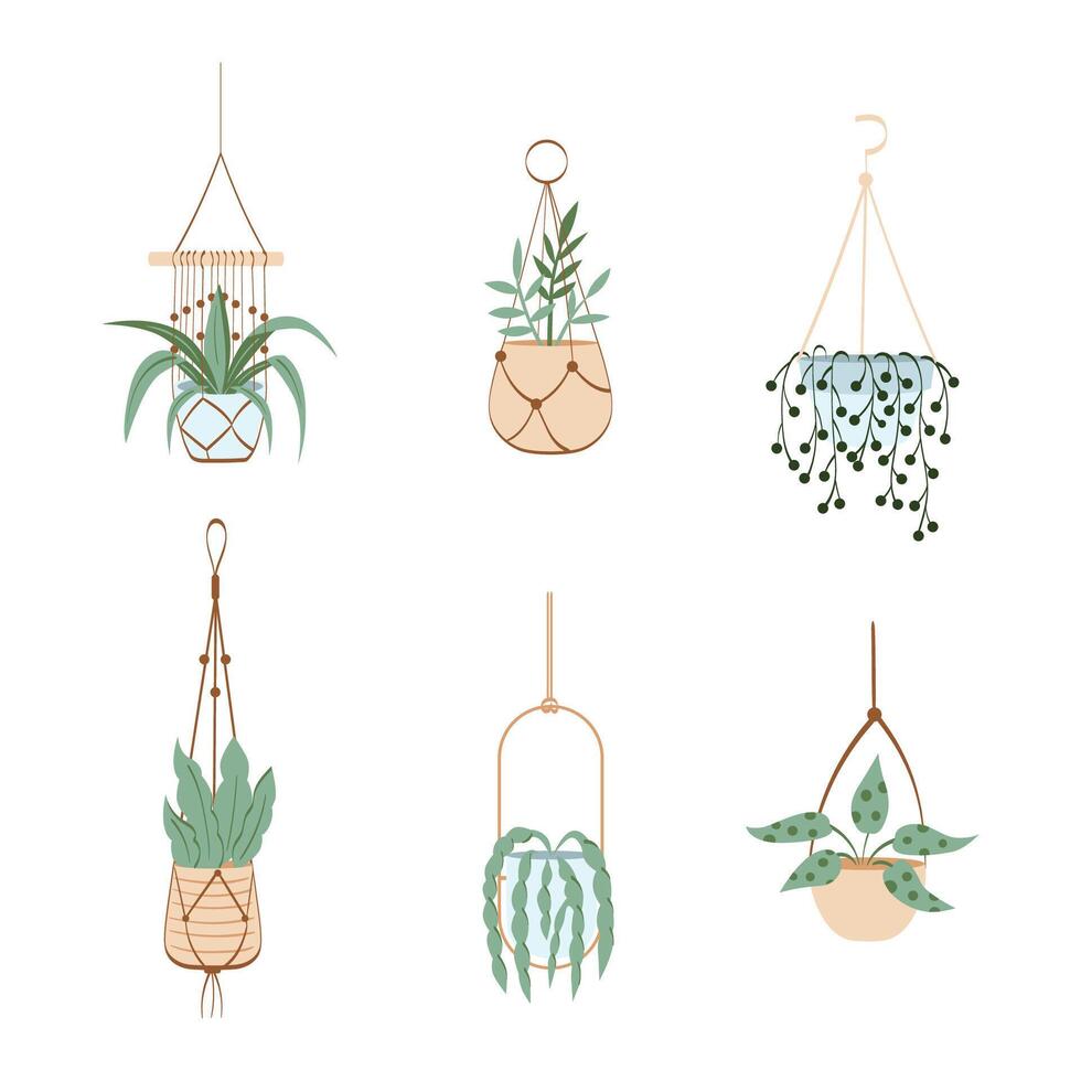 Vector set of decorative hanging houseplants isolated on white background. Bundle of trendy macrame hangers for plants growing in pots