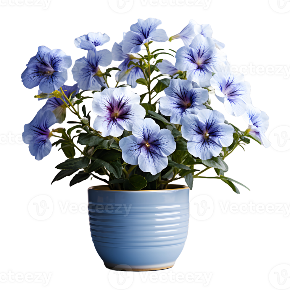 AI generated Blue Petunia Flowers in Pot Isolated on Transparent Background. Generative Ai png
