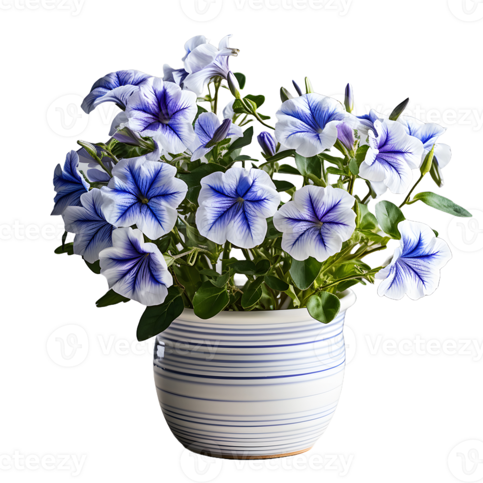 AI generated Blue Petunia Flowers in Pot Isolated on Transparent Background. Generative Ai png