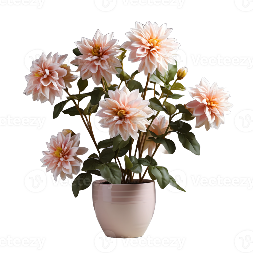 AI generated Dahlia in a Pot Isolated on Transparent Background. Beautiful Spring Flowers. Generative Ai png
