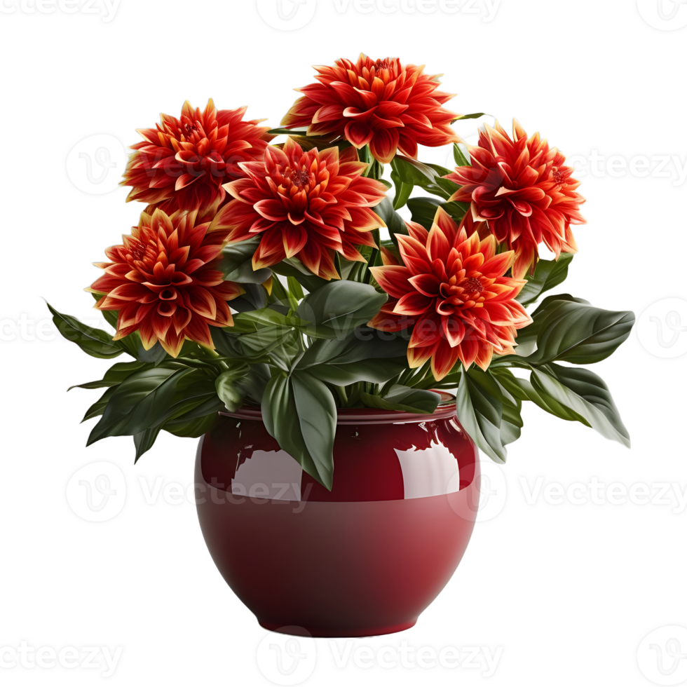AI generated Dahlia in a Pot Isolated on Transparent Background. Beautiful Spring Flowers. Generative Ai png