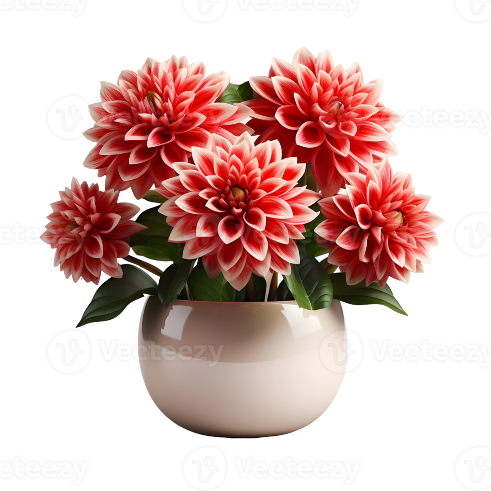 AI generated Dahlia in a Pot Isolated on Transparent Background. Beautiful Spring Flowers. Generative Ai png