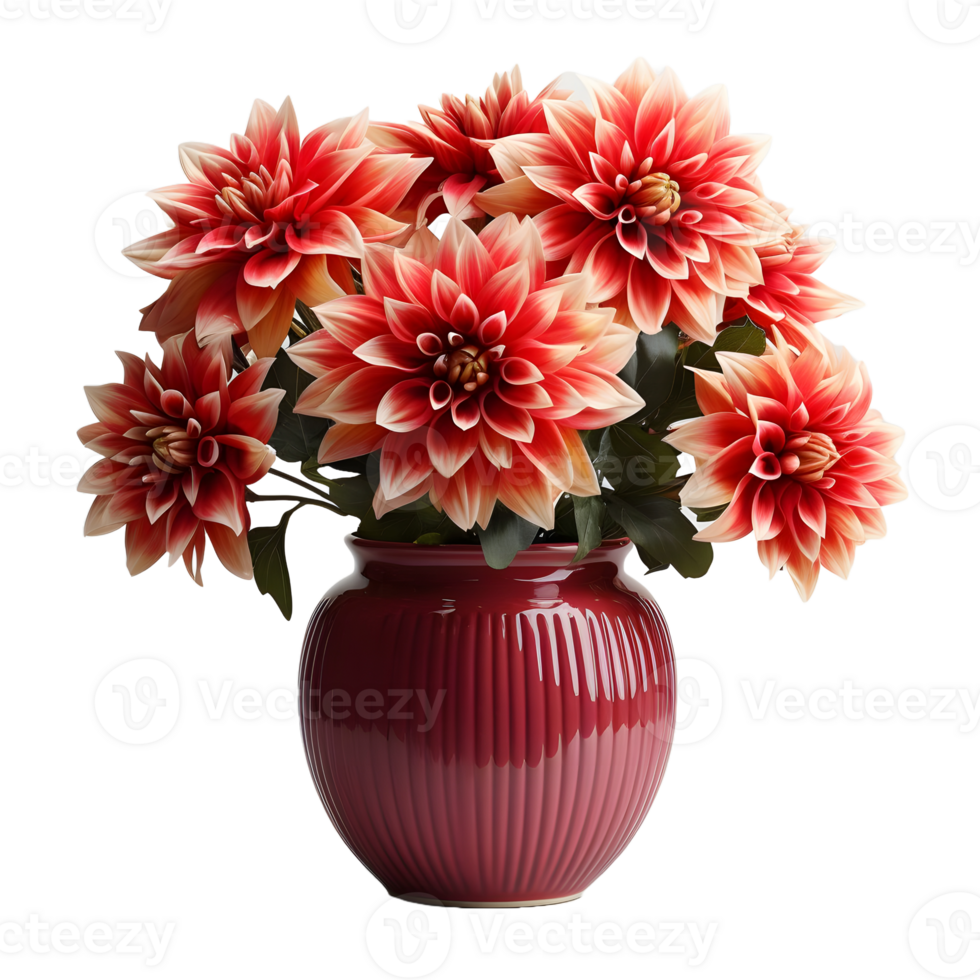 AI generated Dahlia in a Pot Isolated on Transparent Background. Beautiful Spring Flowers. Generative Ai png