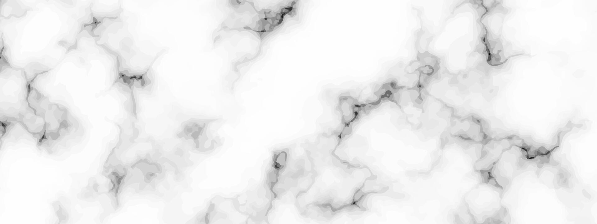 White marble texture background vector