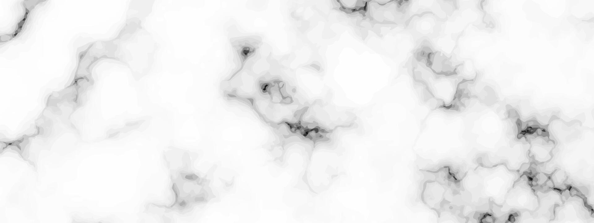 White marble texture background vector