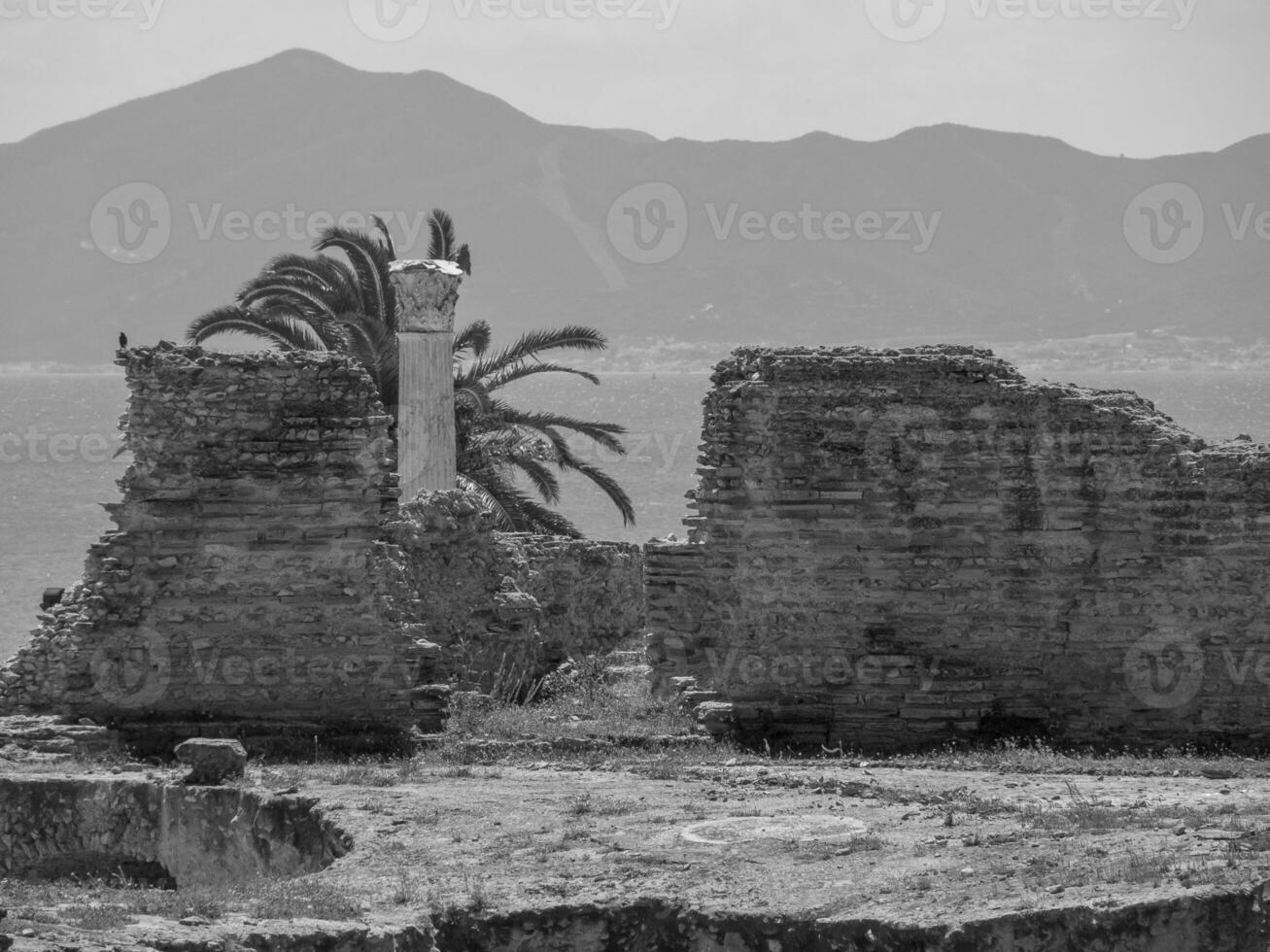 tunis in tunisia photo