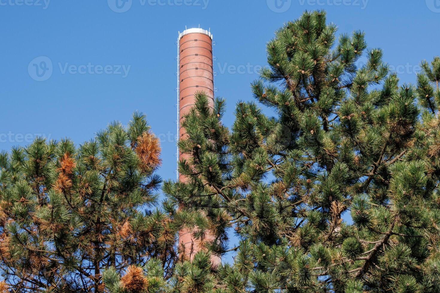 spring time in the german ruhr aerea photo