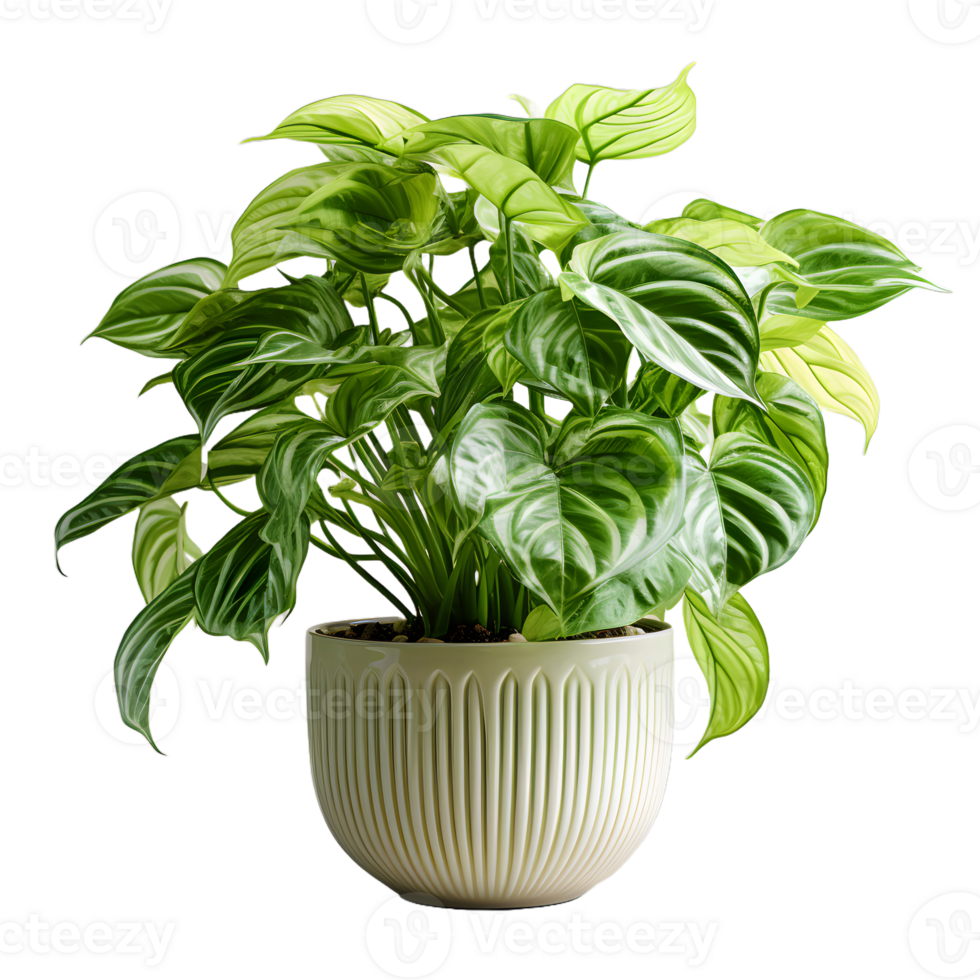 AI generated Exotic Caladium Plant in a Pot Isolated on transparent Background. Plant in a Vase for Interior Decoration. Generative Ai png