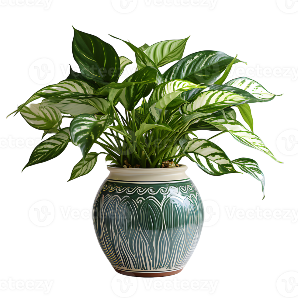 AI generated Exotic Caladium Plant in a Pot Isolated on transparent Background. Plant in a Vase for Interior Decoration. Generative Ai png