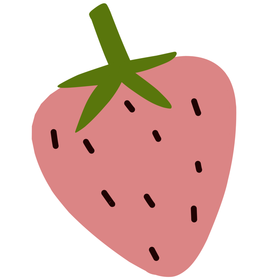 Fruit shape illustration png