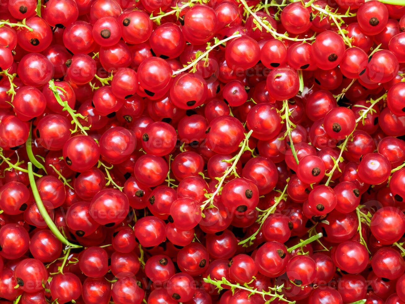 AI generated large quantity of red currants photo
