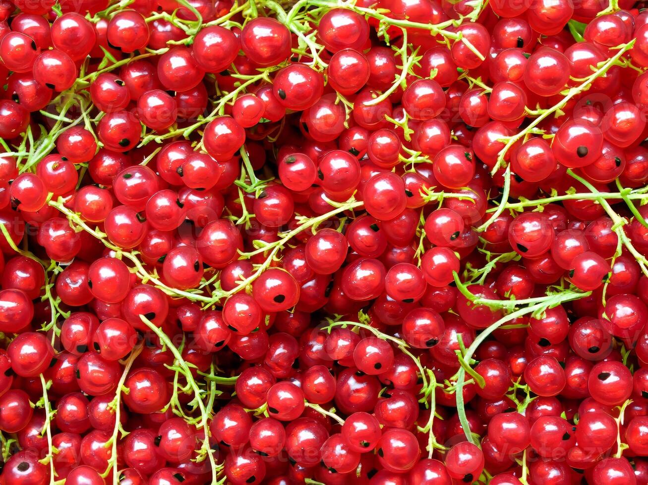 AI generated large quantity of red currants photo