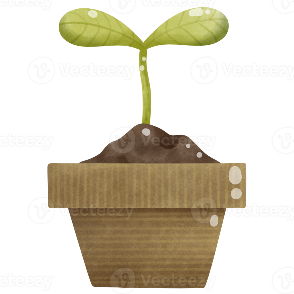 Tree with plant pot png