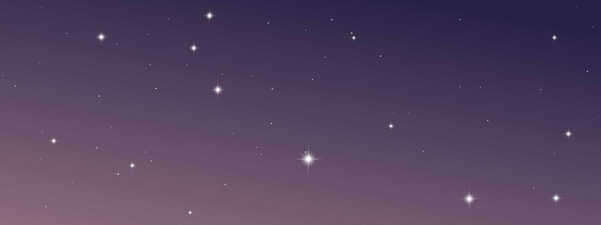 Night sky with many stars vector