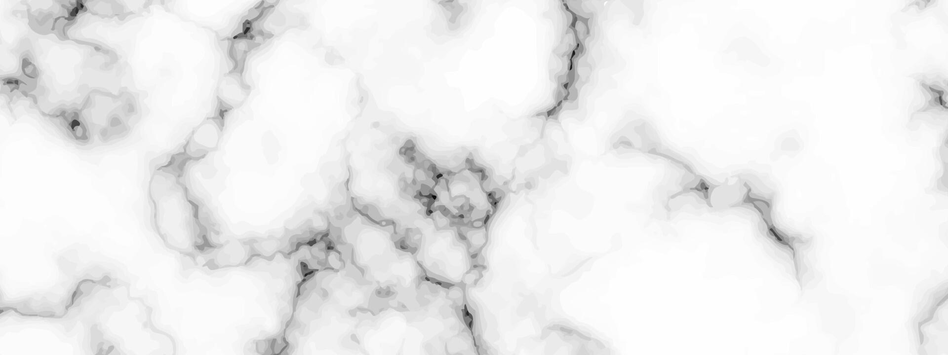 White marble texture background vector