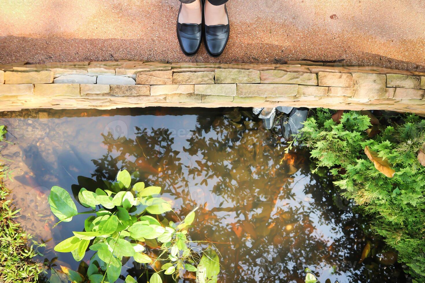 tank or pond and tree in the garden or small river or standing near the pond photo