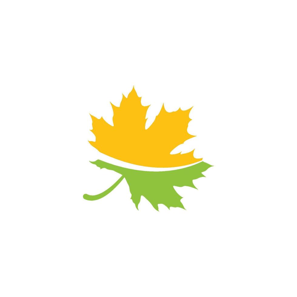 maple leaf icon vector