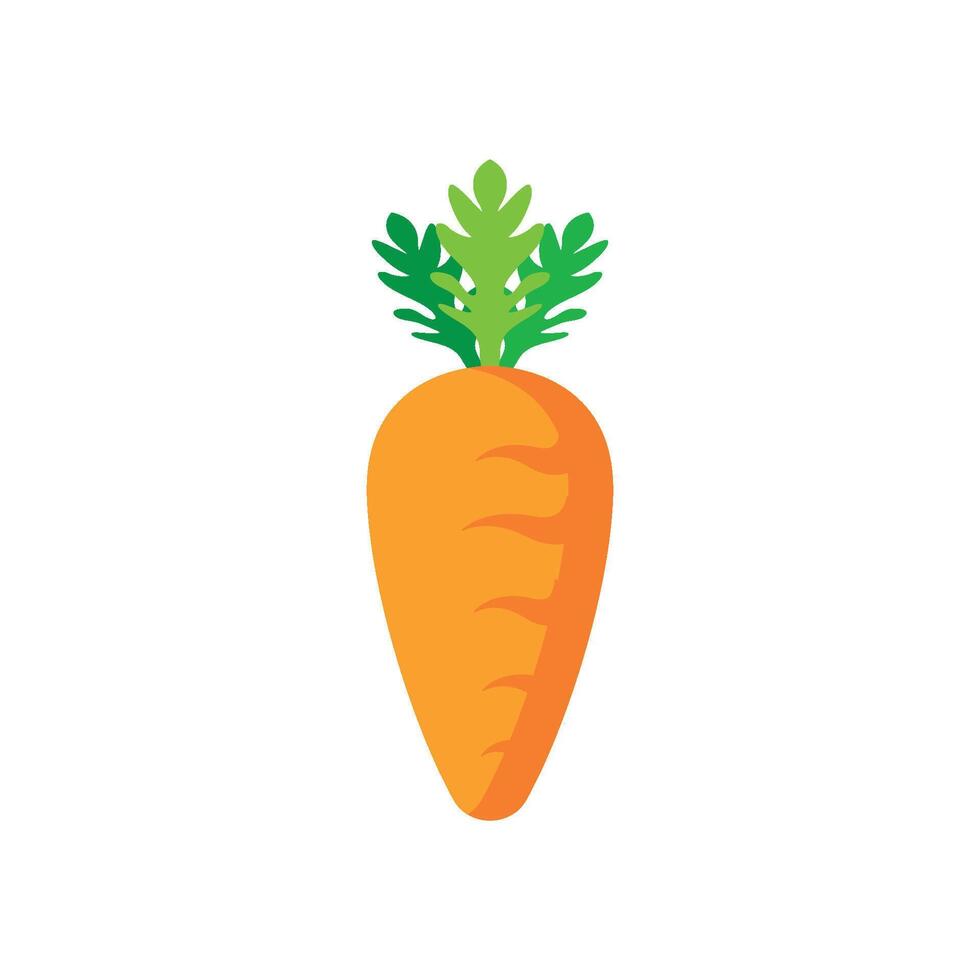 carrot icon vector