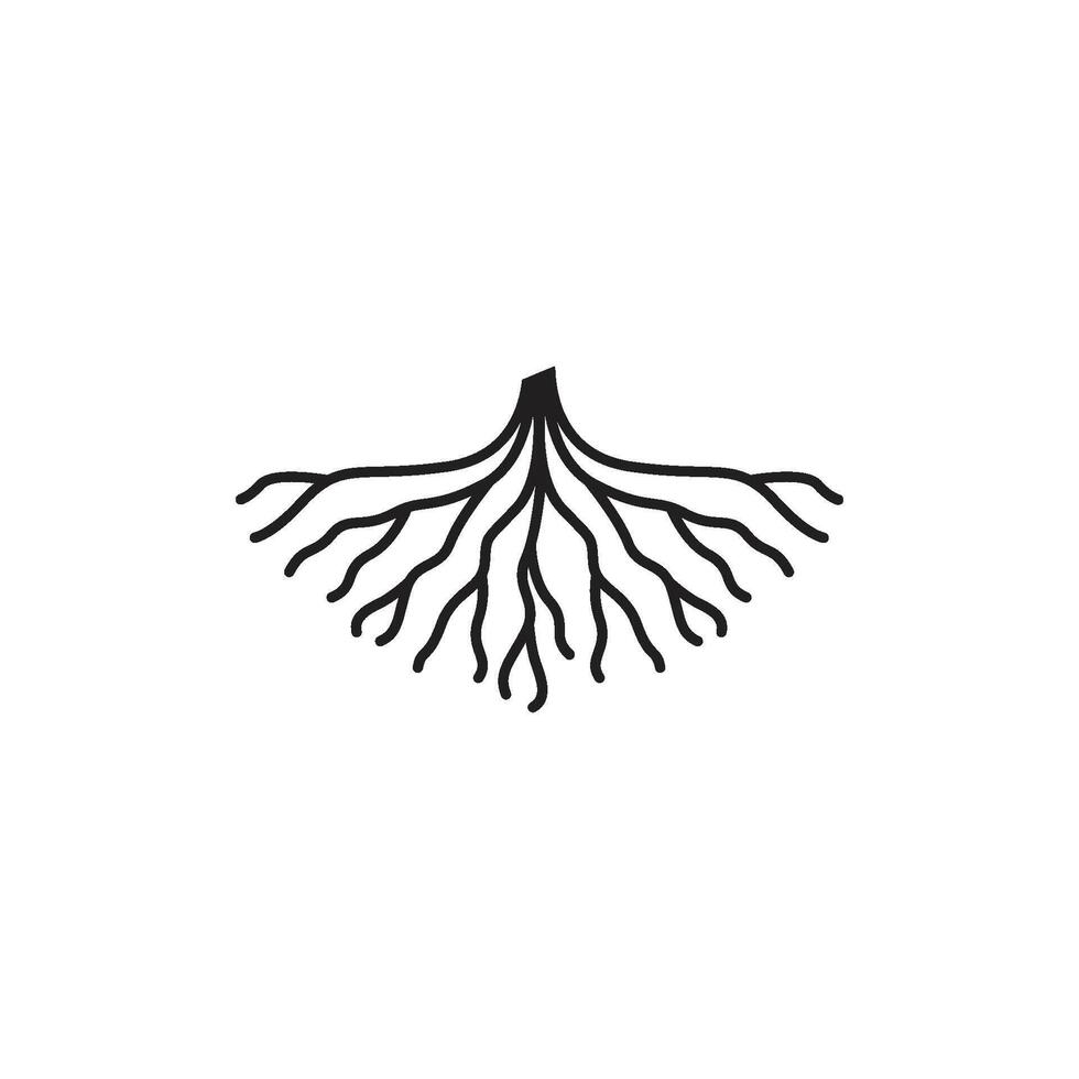 root icon vector