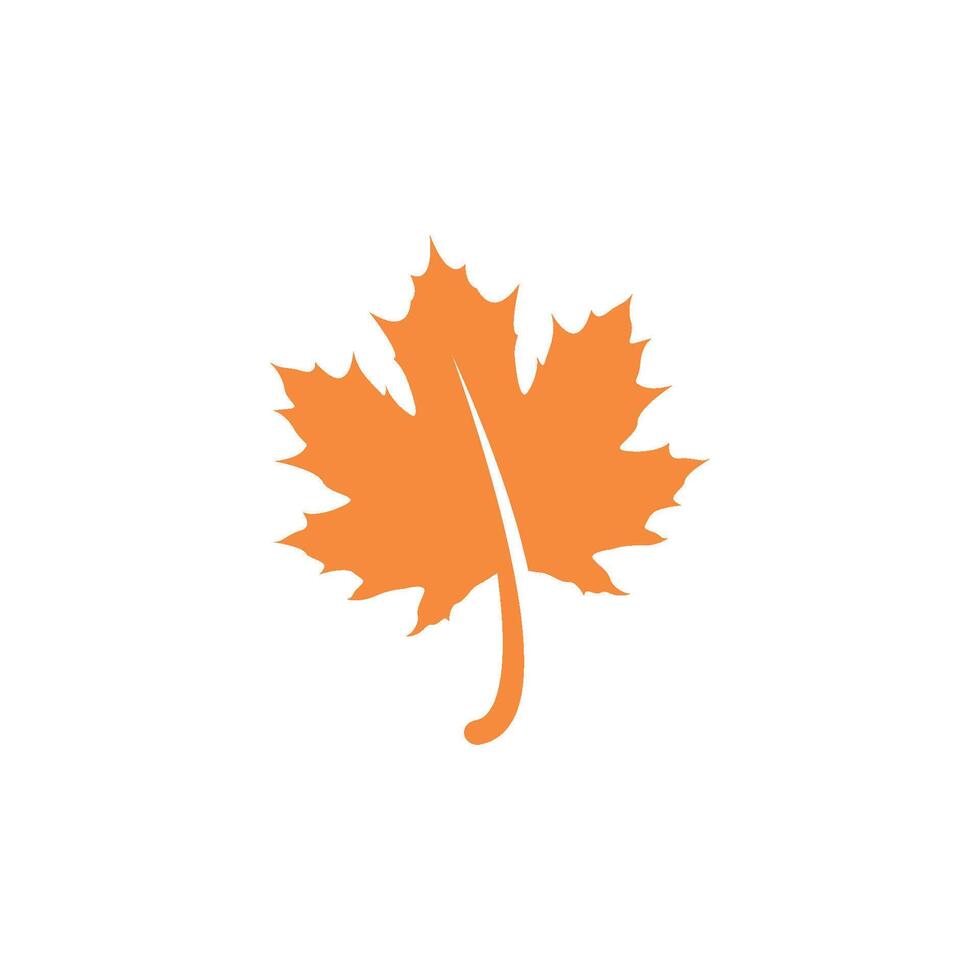 maple leaf icon vector