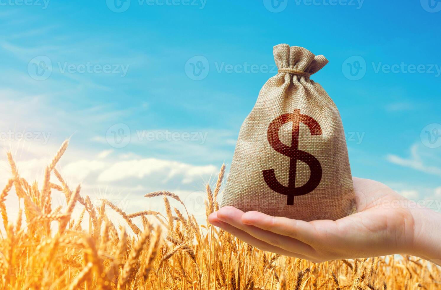 Dollar money bag on the background of wheat ears on a farm field. Food security. Trade and transportation of grain. Agricultural industry. World food and grain prices. photo