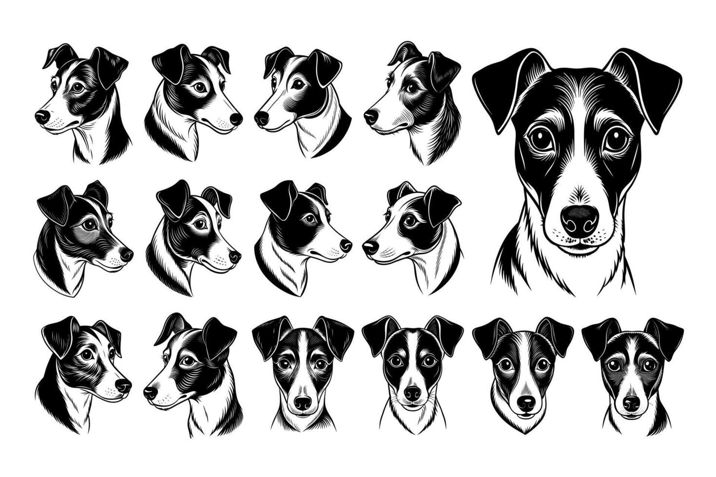 AI generated Detailed jack russell terrier dog face illustration design set vector
