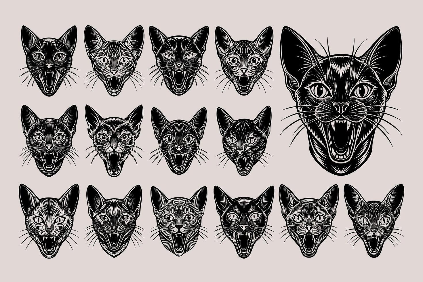 AI generated Front view of meowing korat cat head tshirt design bundle vector