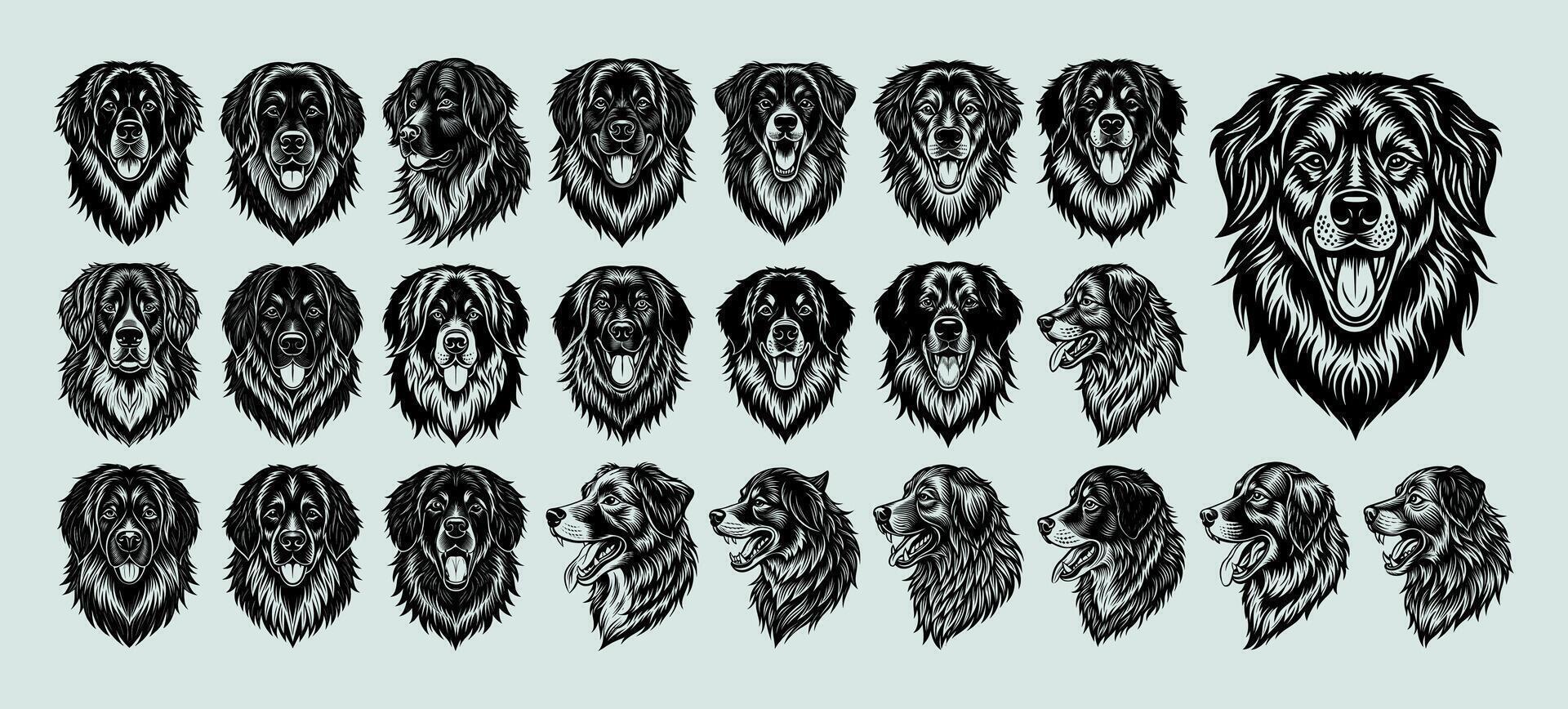 AI generated Collection of hand drawn newfoundland dog head design vector