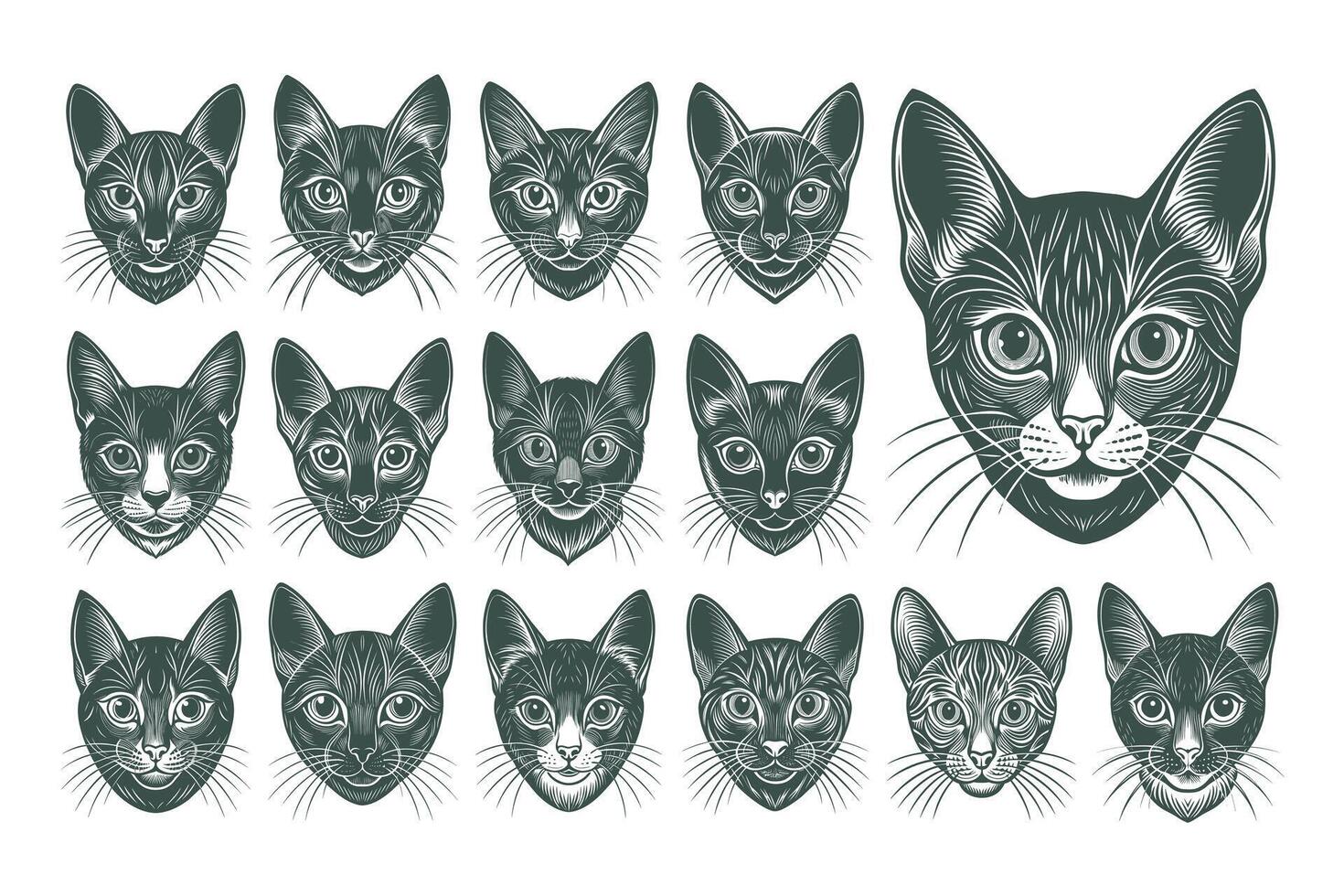 AI generated Havana brown cat head tshirt illustration design bundle vector