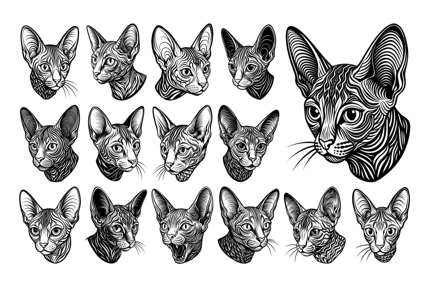 AI generated Set of profile side devon rex cat head illustration design vector