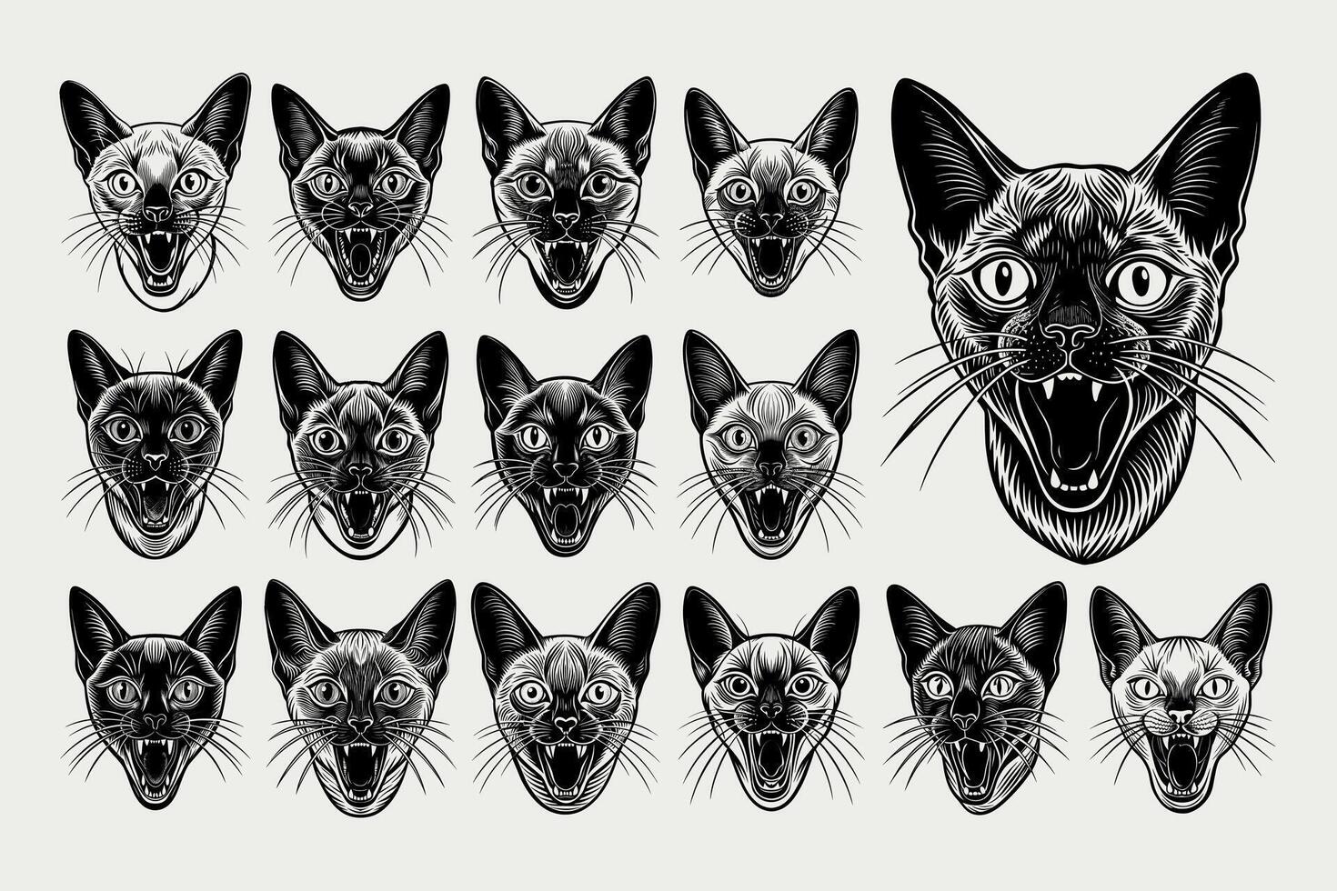 AI generated Flat detailed meowing tonkinese cat head tshirt design bundle vector