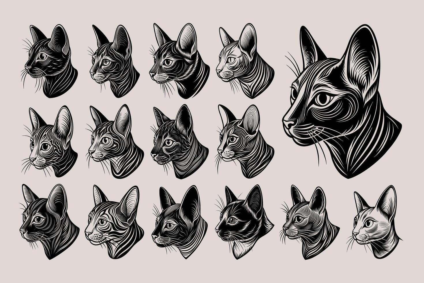 AI generated Profile side view of hand drawing korat cat head illustration design set vector