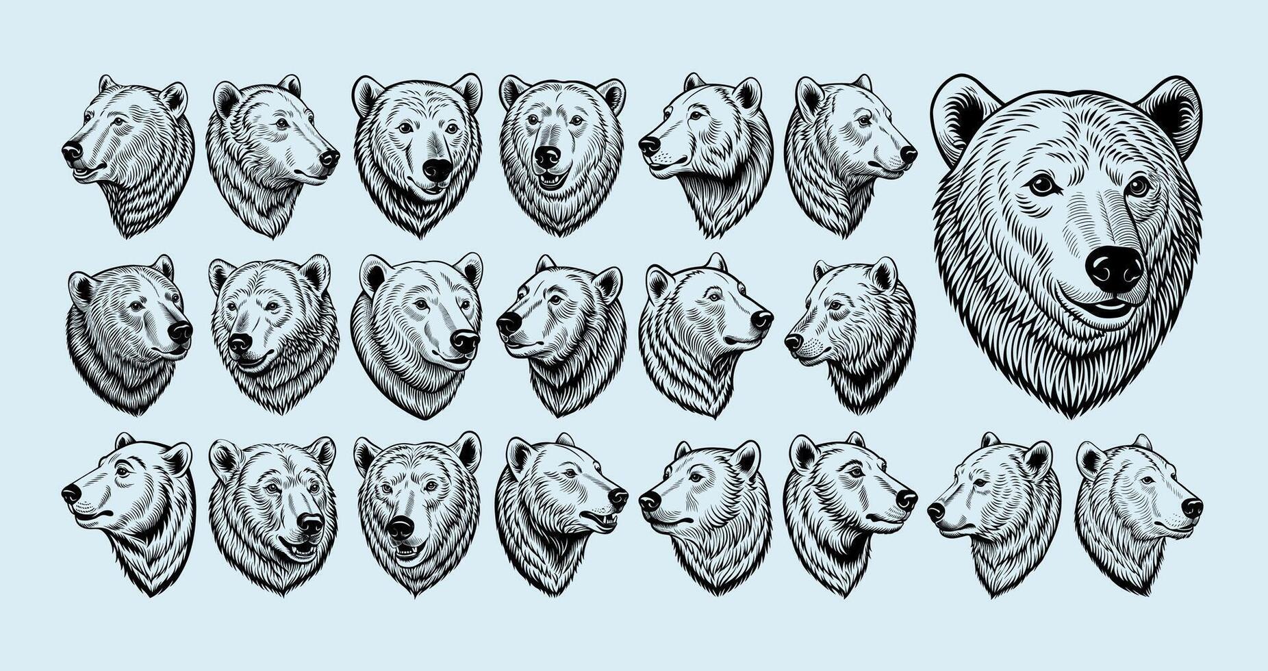 AI generated Side view of detailed engraving polar bear head silhouette design set vector