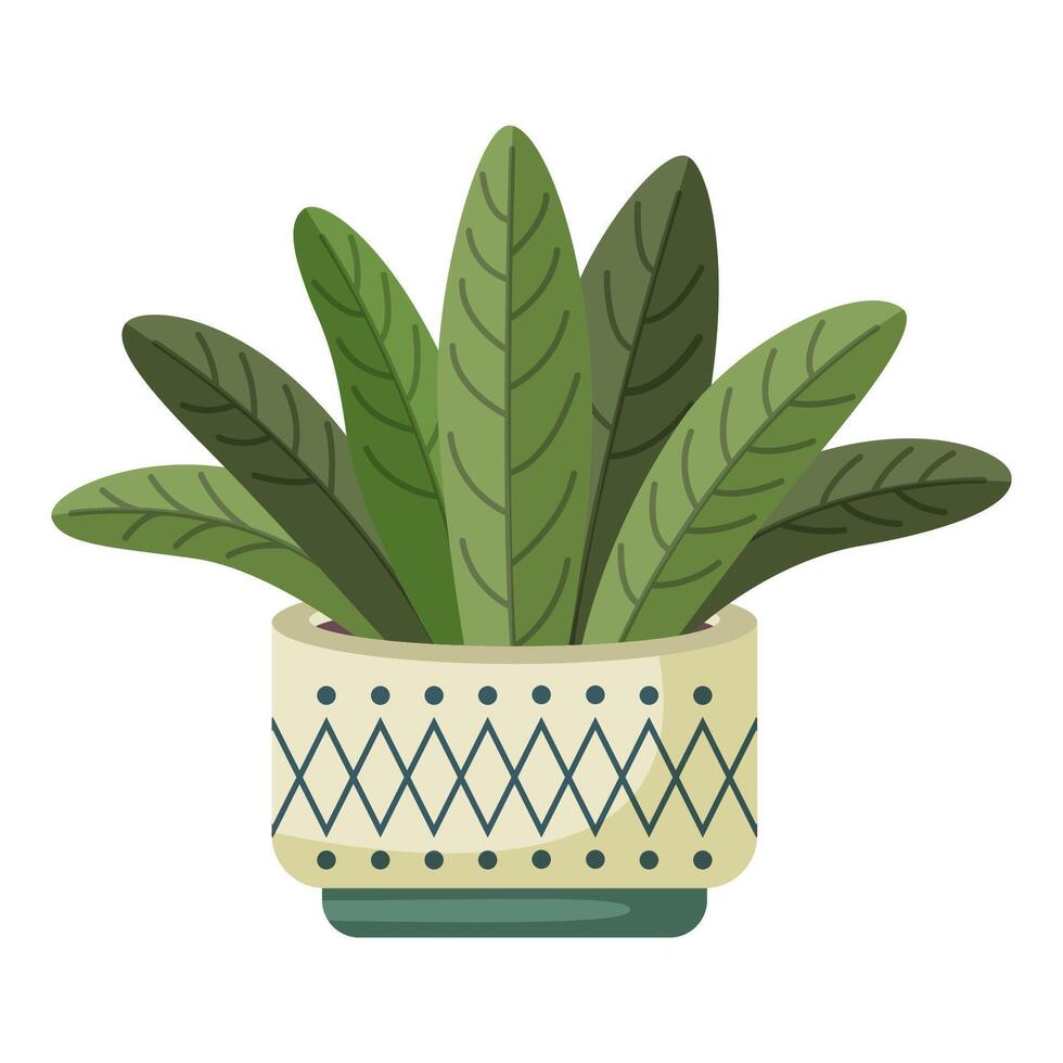 Plant with long green oval leaves in a pot vector